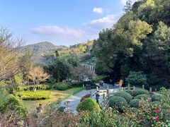 -十八棵（老龙井）御茶园(老龙井店)