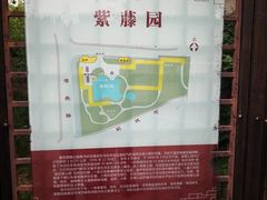 -嘉定紫藤园