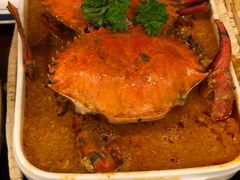 -茉莉.Red Crab