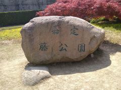 -嘉定紫藤园