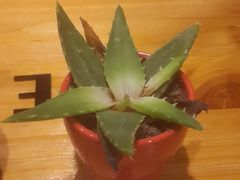 -轻净Clean&Pure(车公庙安徽大厦店)