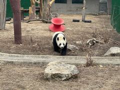 -沈阳森林动物园