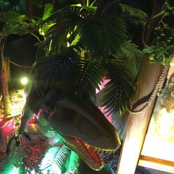 -恐龙探索乐园(磁器口店)