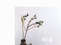 -杭州街角花屋花店(闻堰店)