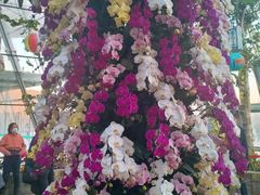 -国家植物园南园