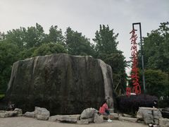 -合肥滨湖国家森林公园