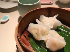 -唐茶苑(Soho)