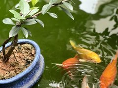 -漫笙舍Manse·咖啡·民宿