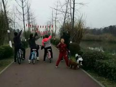 景点-白鹭湾湿地公园