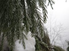 -九峰山