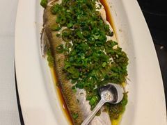 -新雅粤菜馆(南京东路店)