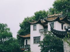 -西湖游船