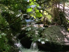 -青峰峡国家森林公园