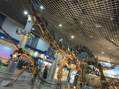 -国家自然博物馆