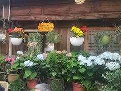 -龙姐私房菜(和顺古镇店)