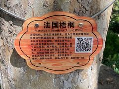 -北岭山森林公园