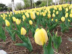 -长春公园(普阳街道)