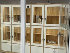 -爱洗澡的猫(天河路店)