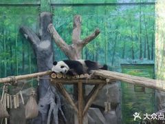 -灵玲国际马戏城