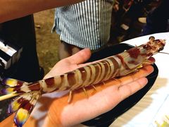 -鲜入围煮花胶鸡海鲜火锅