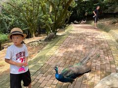 -泉州海丝野生动物世界