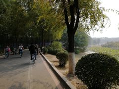 -丁香湖公园