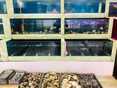 水产区-王潮活海鲜自助·蒸汽海鲜