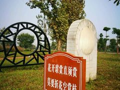 -眉山湿地公园(东坡区)