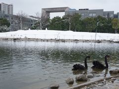 -同济大学(嘉定校区)