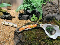 -曲廊院(东四十一条店)