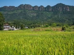 -黟县屏山村