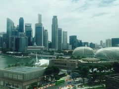 -新加坡文华东方酒店