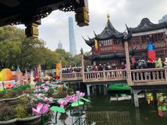 -沈大成(城隍庙店)