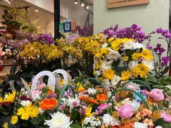 -溪岸路花鸟市场