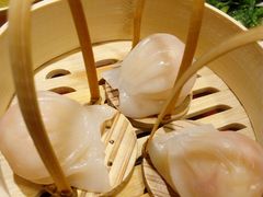 -金鼎轩·滋养小餐馆(联想桥店)