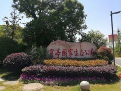 -官亭林海