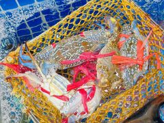 -双月饭店·20年老字号(新村店)