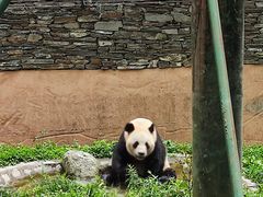 -快乐街区(重庆龙湖时代天街店)