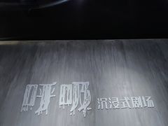 -呼吸沉浸式剧场(甘露园店)