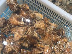 -和源祥·日照菜扛把子(万平口一店)