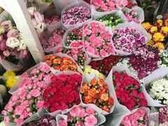 -秦美花卉(天朗·莱茵小城2期店)