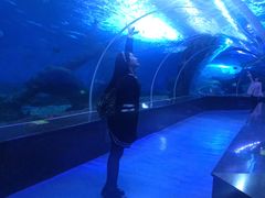 -多彩贵州城极地海洋世界