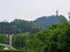 -大金鹰园