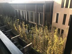 -上海崇明金茂凯悦酒店