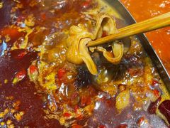 -楠火锅(哈尔滨金爵万象店)