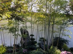 -上海醉白池公园