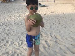 -西涌国际滨海旅游区