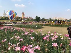 -花博汇(知音花月夜)