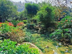 -顺峰山公园