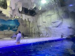 -华夏文旅海洋公园